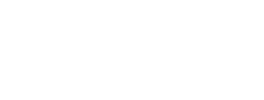 Logo - Netsis
